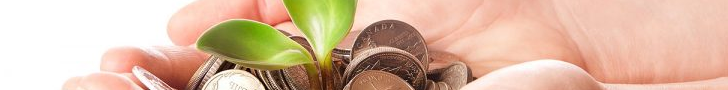 Expert Insights on Insurance & Protection